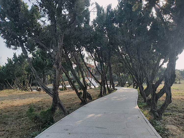 公墓环境